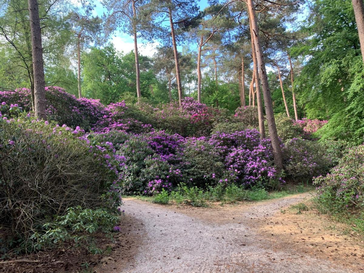 Hotel Duynparc Soest Exterior foto